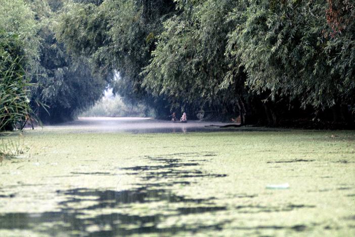 Srinagar Kashmir 1976